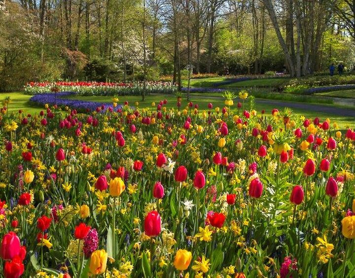 Keukenhof day-tour with personal guide en driver