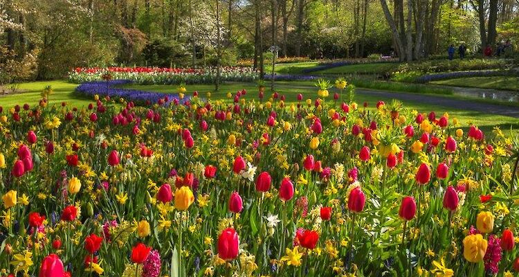 Exclusieve Dagtocht Keukenhof met Privé Gids & Vervoer – Speciale Tour tijdens het Bloemencorso