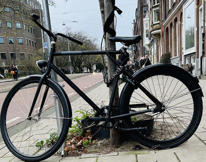 Bike tour of the city