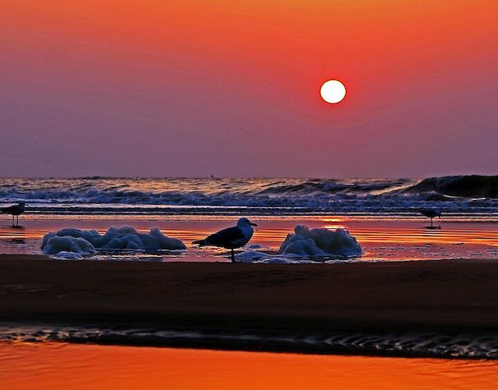 Strand Egmond aan Zee