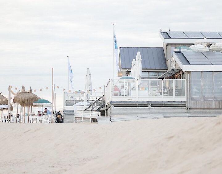 Nautilus aan Zee