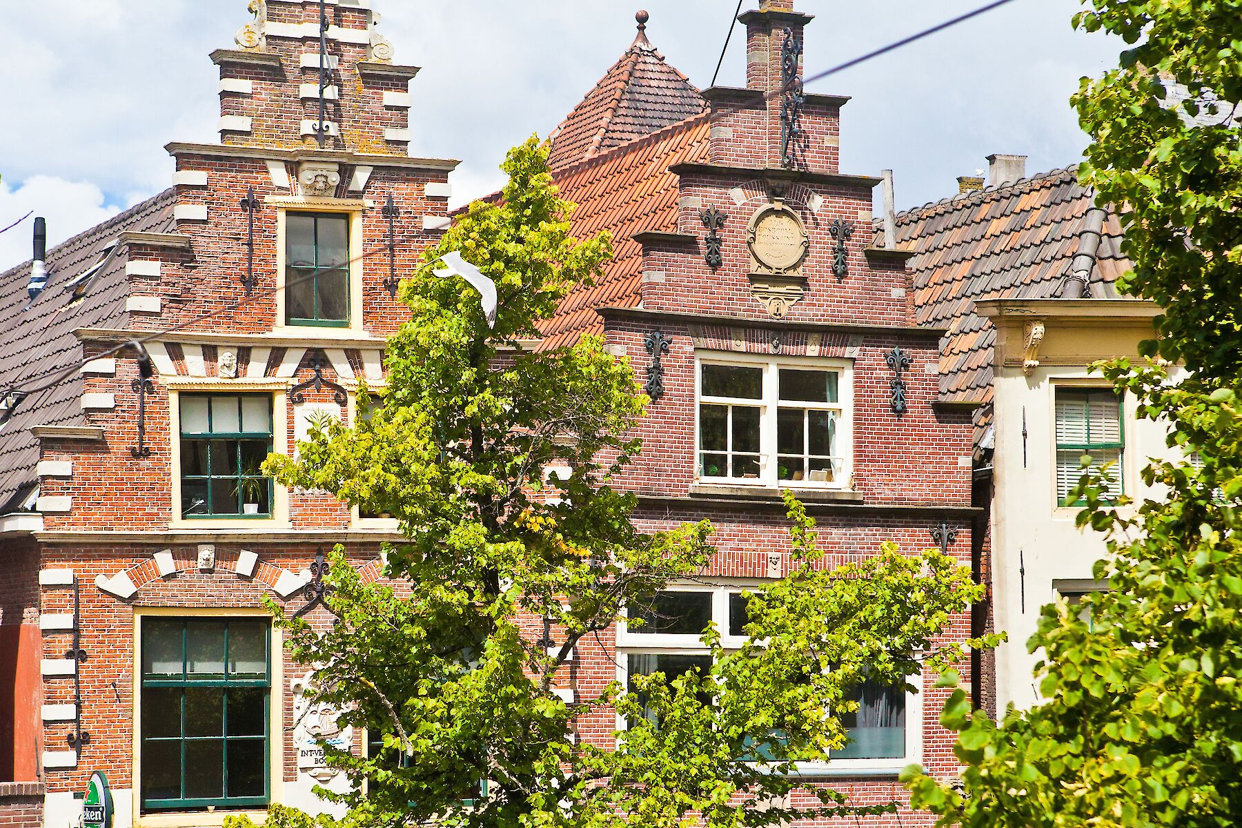 wolf hotel kitchen and bar